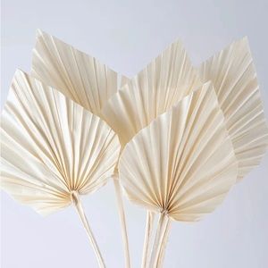 3 Bleached Palm Spears - Palm Leaf Dried Flower